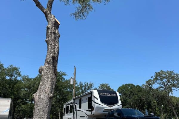 OpenRoadResorts-StarryNight-RVSites